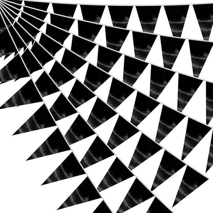 20M/65FT Black Triangle Pennant Banner Flag Metallic Fabric Bunting Garland by raqieden