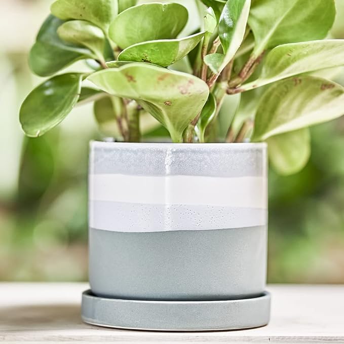 CHIVE ‘Minute’ Ceramic Planter Pot — Cute 5” Colorful Succulent Pots - Image 4