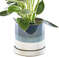 CHIVE ‘Minute’ Ceramic Succulent Planters — 5” Indoor Cactus & Flower Container by Chive