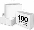 BURVAGY 16x6x12 Inch 100 Pcs Kraft Paper Bags by BURVAGY
