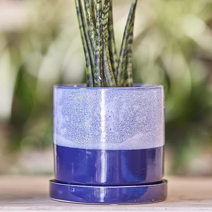 CHIVE ‘Minute’ Ceramic Planter Pot — Cute 5” Colorful Succulent Pots - Image 4