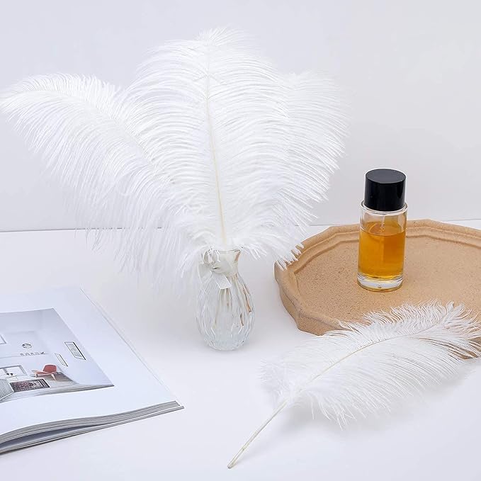 24pcs Natural White Ostrich Feathers 10-12inch - Image 5