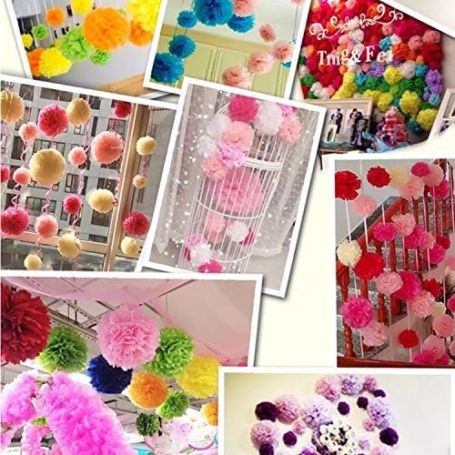 Paper Pom Poms Color Tissue Flowers Hanging Paper Fans Celebration Wedding - Image 4