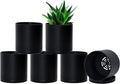 D'vine Dev 6 Pack 5 Inch Modern Plastic Plant Pots, Small Garden Planters by DvineDevPlanterPotsandStand