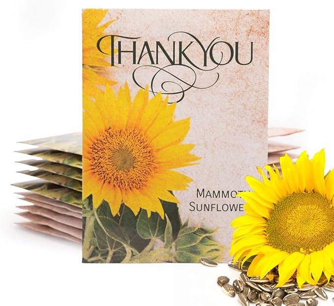 Bentley Thank You Packet by OfficialBentleySeedProducts