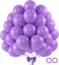 110pcs Purple Balloons 12 Inch Dark Purple Latex Balloon Arch Kit by BAIBAOXIANG