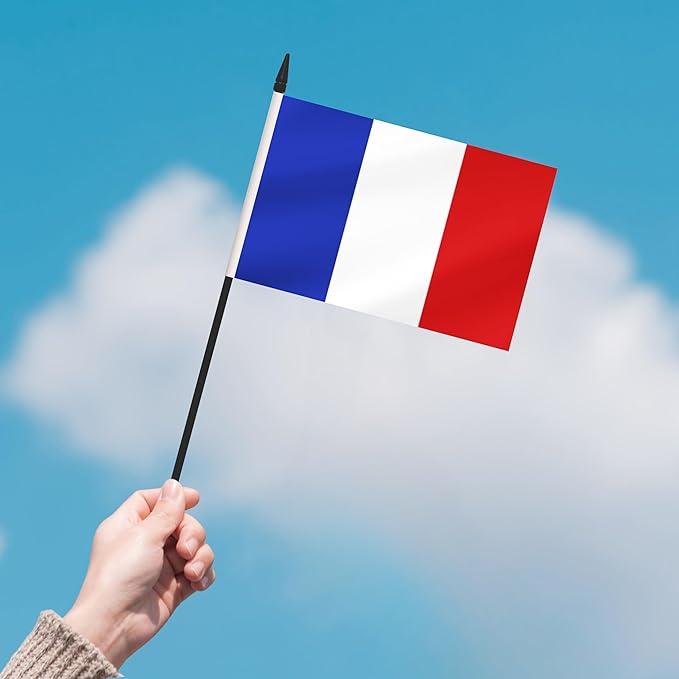 12 Pack France Desk Flags, French Desktop Flag, Small Miniature Office Flags - Image 7