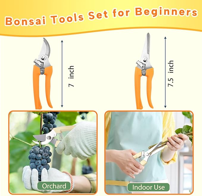 Bonsai Tools Set for Beginners, Bonsai Tree Kit - Image 3