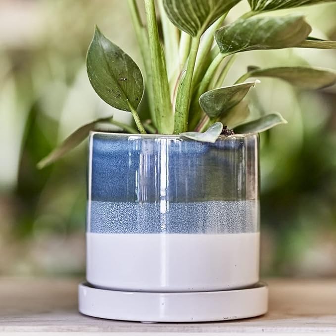 CHIVE ‘Minute’ Ceramic Succulent Planters — 5” Indoor Cactus & Flower Container - Image 4
