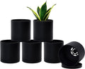 D'vine Dev 6 Pack 4.5 Inch Modern Plastic Plant Pots, Small Garden Planters by DvineDevPlanterPotsandStand