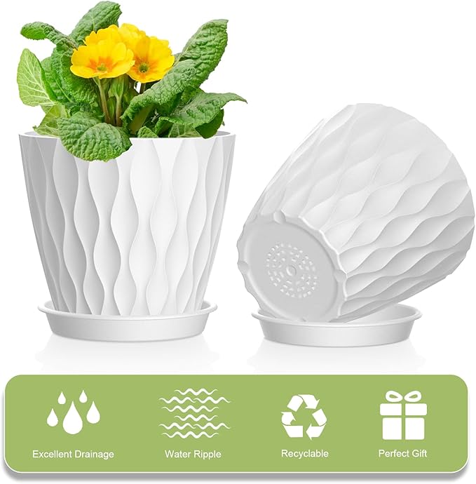 12 Pack 4 Inch Small Plant Pots - Image 5