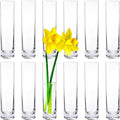 12 Pack 7 Inch Glass Cylinder Bud Vases by LOSYHU