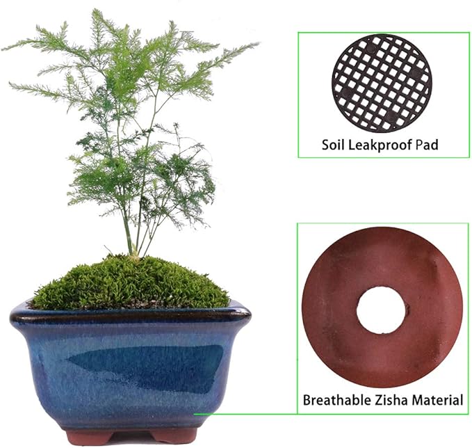 MUZHI 6PACK Glazed Bonsai Pot Planter 3" 4” Small Succulent Pots, Yixing Zisha - Image 5