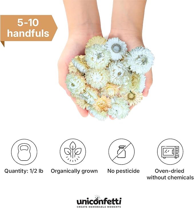 Dried Flower White Straw Daisy Biodegradable Confetti - Image 2