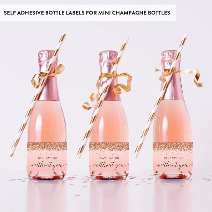 Andaz Press Mini Champagne Wine Bottle Labels, I Can'T Say I Do Without You - Image 3