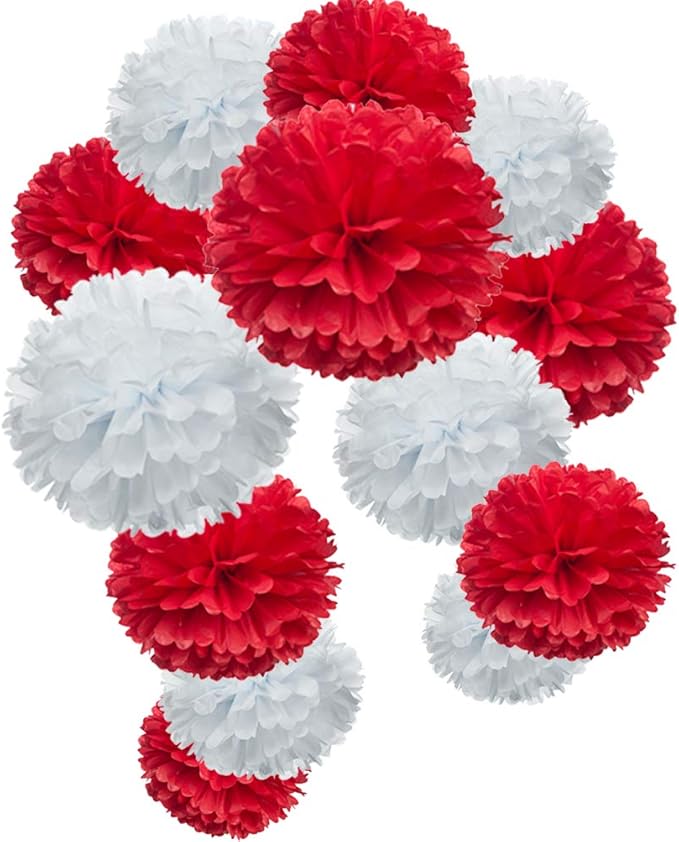 Red Paper Flower Tissue Pom Poms Party Supplies by MOWO