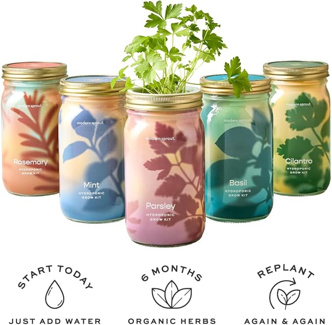 Modern Sprout Mason Garden Jar - Image 12