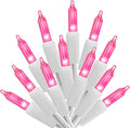 100 Count Pink Lights for Valentine's Day Decorations 20ft Mini Christmas by Yiaht