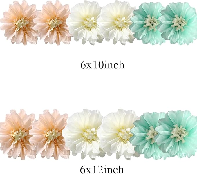 12pcs 10in/12in Tissue Flowers Pom Kit - Image 2