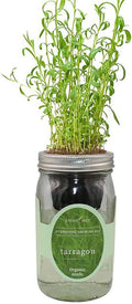 Hydroponic Herb Growing Kit, Self-Watering Mason Jar Herb Garden Starter Kit by Environet