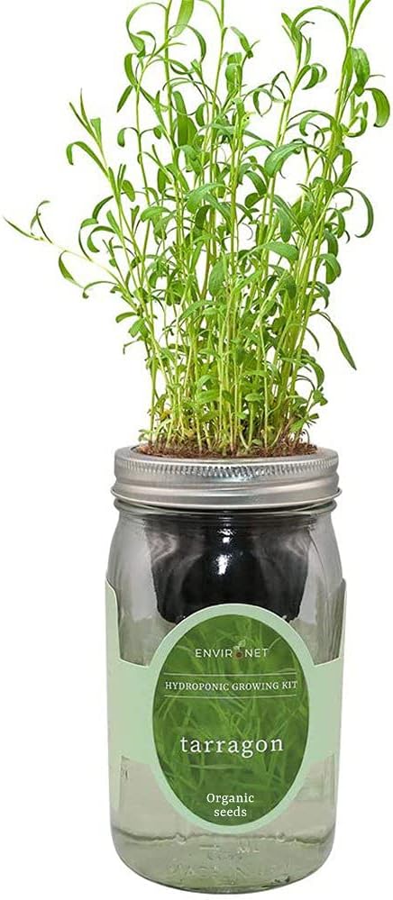 Hydroponic Herb Growing Kit, Self-Watering Mason Jar Herb Garden Starter Kit by Environet