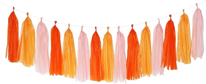 Pink-Orange Groovy Party-Decorations Tassel-Garland by Panduola