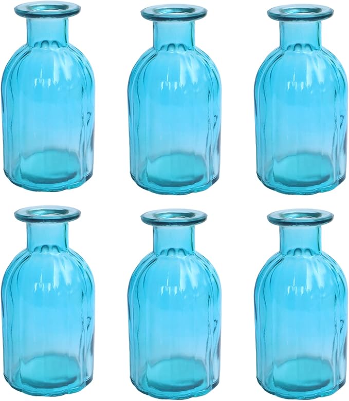 6 Sets Glass Bud Vase Small Vases by HANIHUA