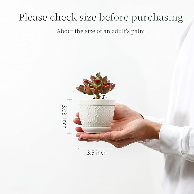Sureasy Succulent Pots, 3.5 Inch Flower Pots - Image 3