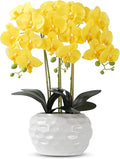 Orchid Artificial Flowers with White Vase Large Silk Faux Phalaenopsis Flowers by ABetterDayStartsHere