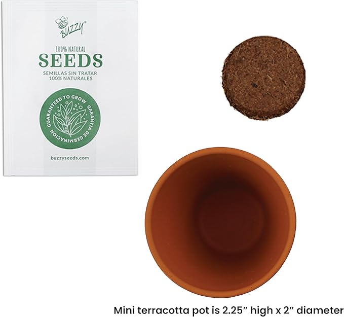 BUZZY Seeds Terracotta Mini Grow Pots | Herb, Flower Starter Kit - Image 3