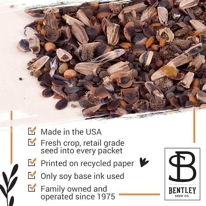 Bentley Seed Co. | Bee Kind Pollinator | Beautiful Bee Art | Environmental - Image 5