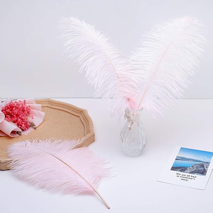 Ballinger Light Pink Ostrich Feathers - Image 7