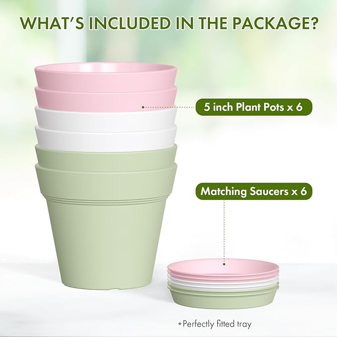 5 Inch Plastic Plant Pots with Drainage Holes and Trays – 6 Pack Small Nursery - Image 5