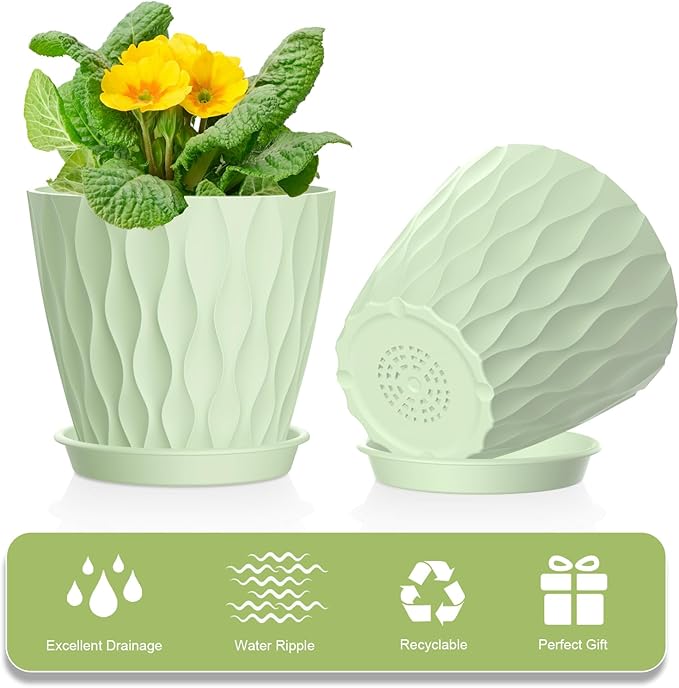 12 Pack 4 Inch Small Plant Pots - Image 4