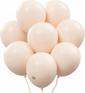 AFTERLOON® Biodegradable Balloons 24 pcs Pastel Blush 10 Inch, Matte Color by AFTERLOON%C2%AE