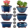 MUZHI 6PACK Glazed Bonsai Pot Planter 3" 4” Small Succulent Pots, Yixing Zisha by MUZHI