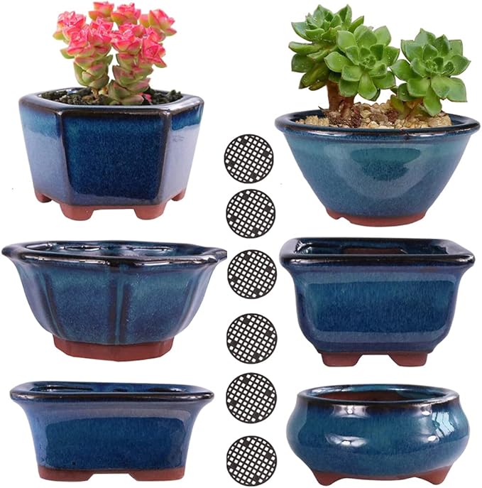 MUZHI 6PACK Glazed Bonsai Pot Planter 3" 4” Small Succulent Pots, Yixing Zisha by MUZHI