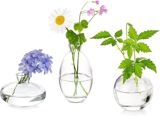 Glass Bud Vases Set of 3, Hewory Cute Clear Small Vases Handmade, Mini Glass by Hewory