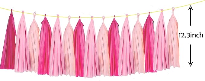 ZOOYOO Tassel Garland Tissue Paper Tassel Banner Table Decor, DIY Kits - Image 2