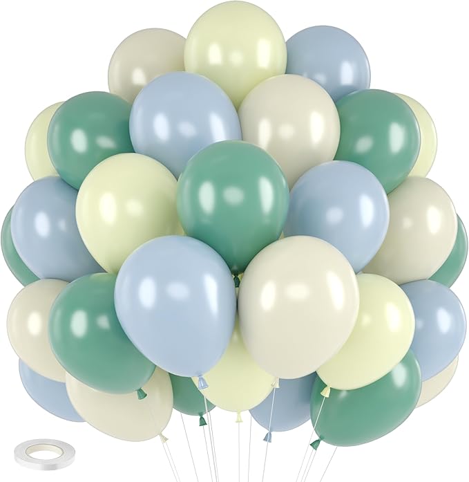 Sage 52 PCS 12 Inch Multi-Colored Balloons by FEYG
