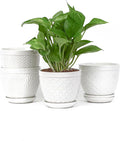 Sureasy Ceramic Indoor Plant Pots by Sureasy