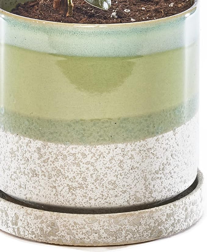 CHIVE ‘Minute’ Ceramic Planter Pot — Cute 5” Colorful Succulent Pots - Image 2
