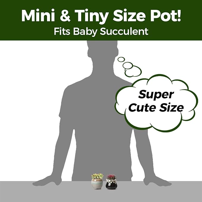 T4U Small Ceramic Succulent Pots - Image 3
