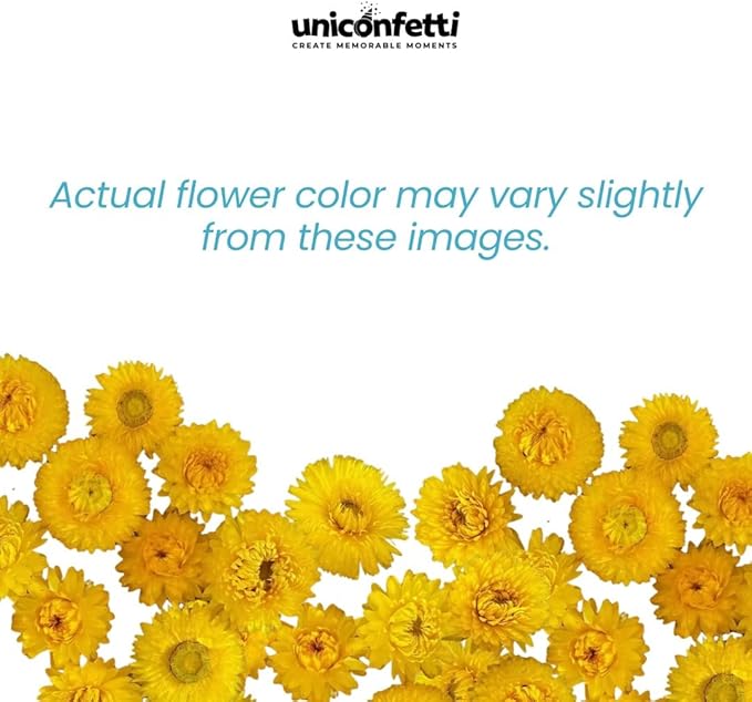 Dried Flower Red Plum Biodegradable Confetti - Image 9