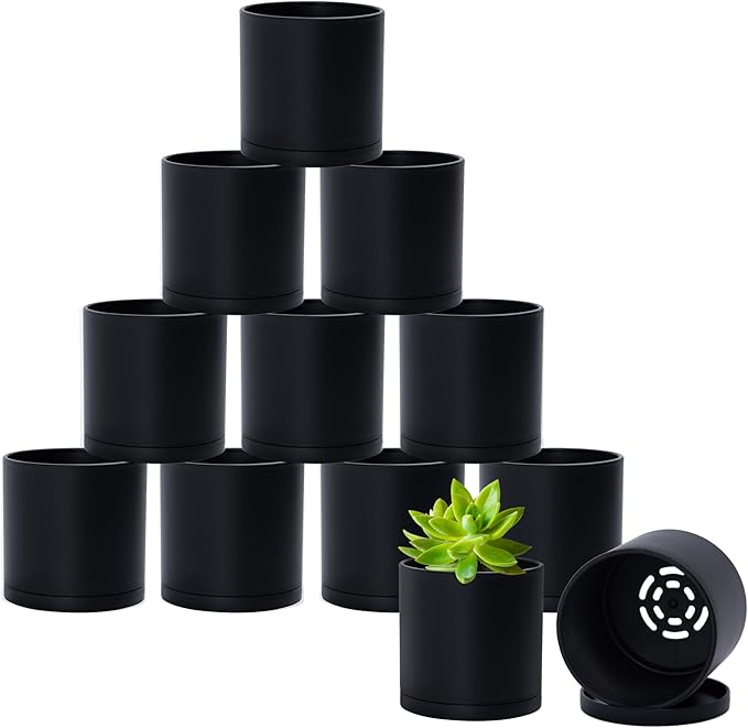 D'vine Dev 12 Pack 3 Inch Mini Plastic Plant Pots, Small Garden Planters by DvineDevPlanterPotsandStand