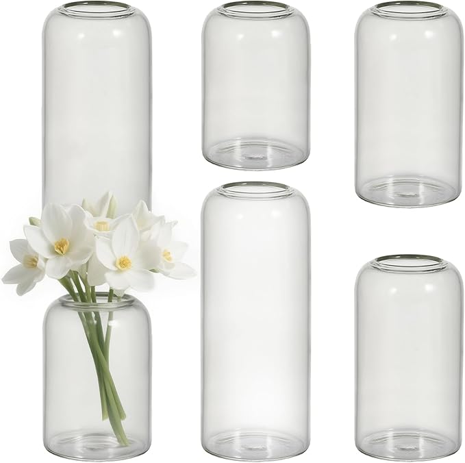 Glass Bud Vases Set of 6 Clear Flower Vase by Tahnach