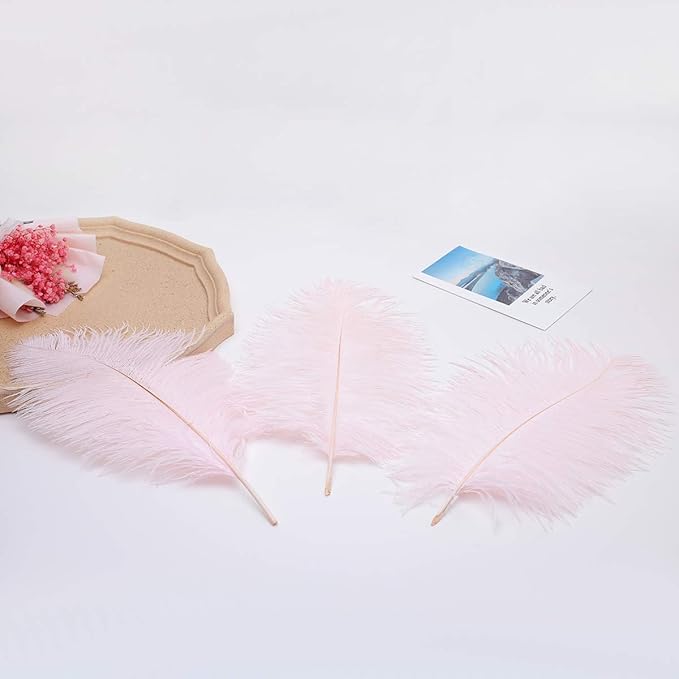 Ballinger Light Pink Ostrich Feathers - Image 8