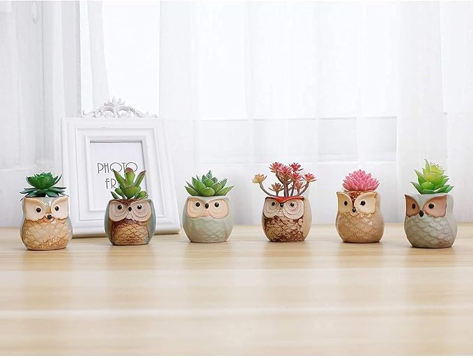 T4U 2.5 Inch Owl Ceramic Succulent Planter Pots - Image 8