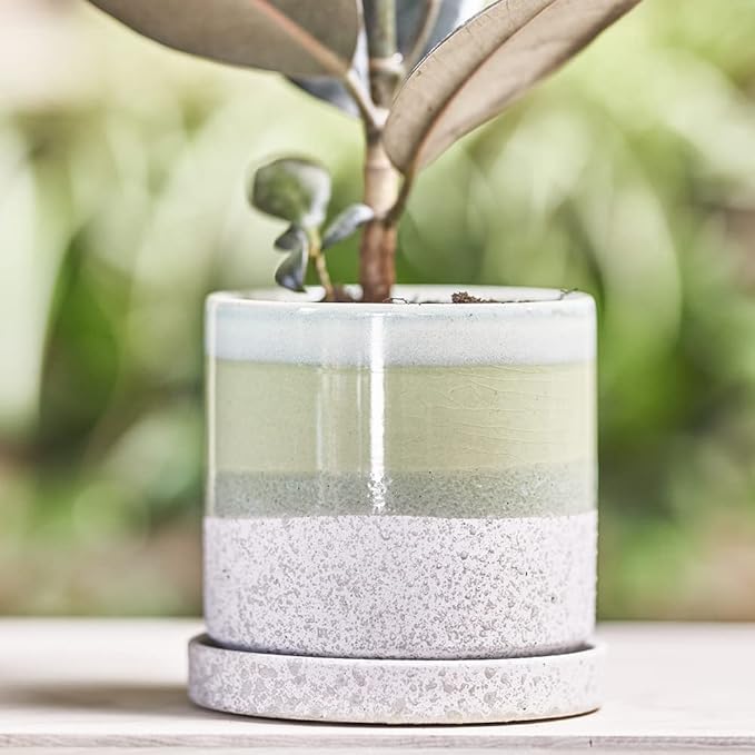 CHIVE ‘Minute’ Ceramic Planter Pot — Cute 5” Colorful Succulent Pots - Image 4