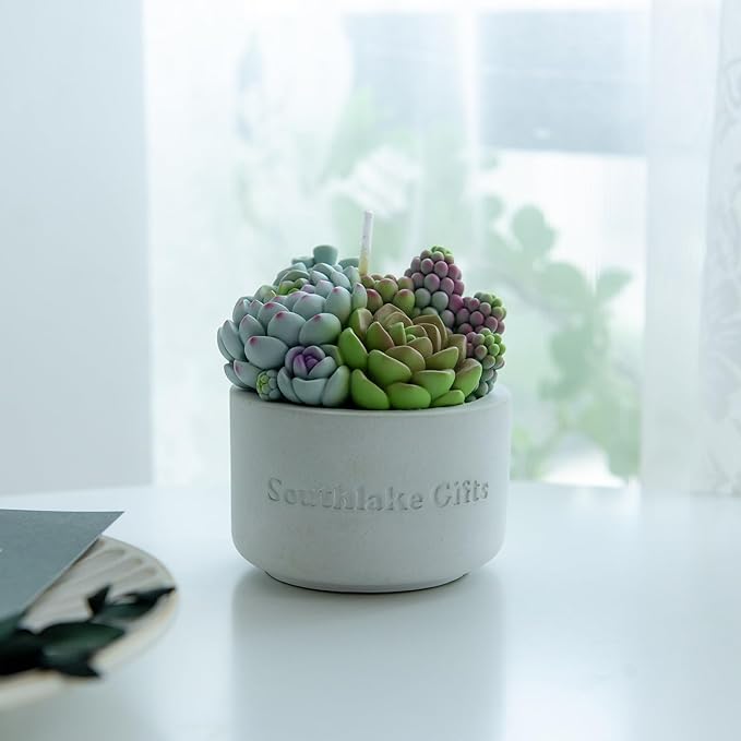 Assorted Succulent Pot Scented Candle - Image 9